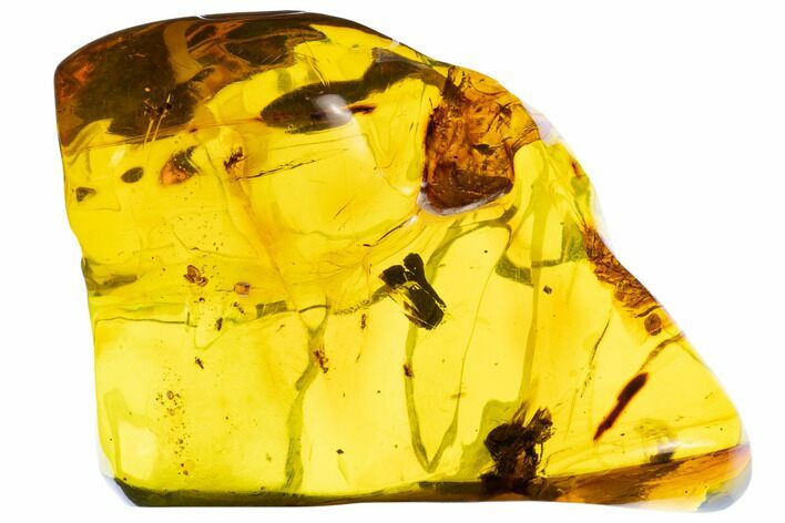 Huge, Piece Of Amber With Insect Inclusions ( g) - Mexico #104248